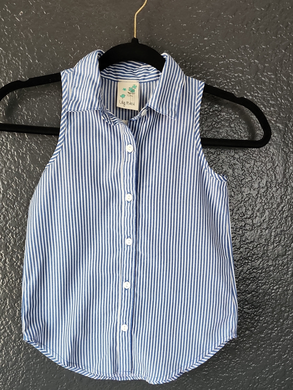 Lily Bleu Blue and White Striped Sleeveless Button-Down Shirt